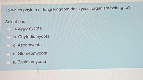To which phylum of fungi kingdom does yeast organism belong to? Select one: a. Zygomycota b. Chytridiomycota c. Ascomycota d.