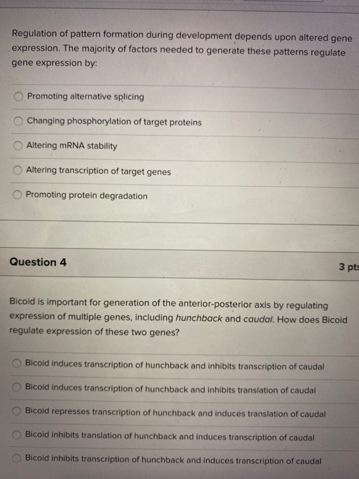 Regulation of pattern formation during development depends upon altered gene expression. The majority of factors needed to ge
