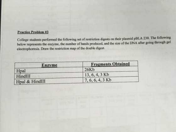 Practice Problem #3 students performed the following set of restriction digests on their plasmid pBLA 230. The following below represents the enzyme, the number of bands produced, and the size of the DNA after going through gel electrophoresis. Draw the restriction map of the double digest. Fragments obtained Enzyme 26Kb Hpal 13, 6, 4, 3 Kb HindII 7, 6, 6, 4, 3 Kb Hpal & HindIII