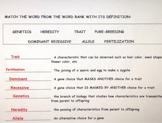 MATCH THE WORD FROM THE WORD BANK WITH ITS DEFINITION: GENETICS HEREDITY TRAITPURE-BREEDING DOMINANT RECESSIVE ALLELE FERTILT