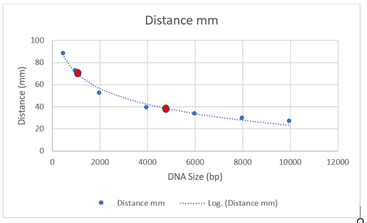 Distance mm Distance (mm) 2000 4000 8 000 10000 12000 6000 DNA Size (bp) • Distance mm ... .. Log. (Distance mm)