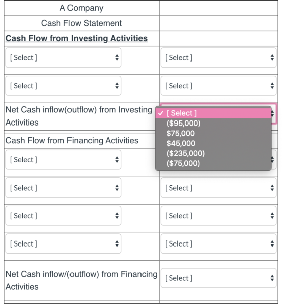 A Company Cash Flow Statement Cash Flow from Investing Activities [ Select] [ Select] [Select] [Select] Net Cash inflow(outfl