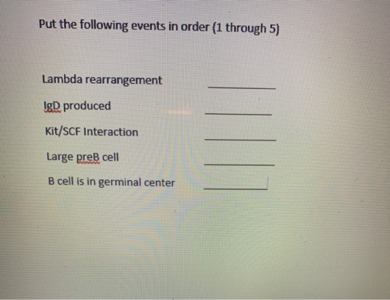 Put the following events in order (1 through 5) Lambda rearrangement IgD, produced Kit/SCF Interaction Large preB cell B cell