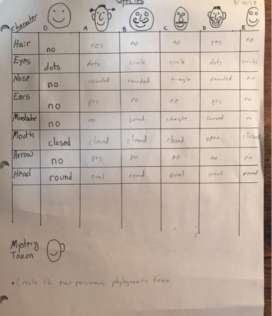 O o 0 yes no Yes no Eyes dots duts no rounde Ears Mbes adre Mouth n o e s ro n o closed closn loseldopea o rrow no ro 10 oud o vel Mystery Create th wS phylesenete tree