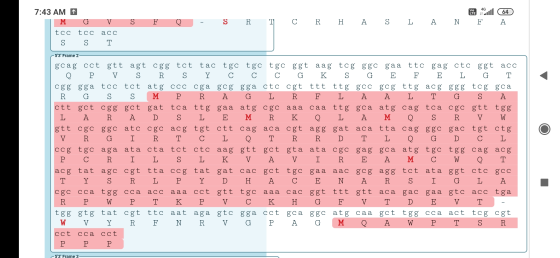 a N l F (64 A S F e - S R T C P H A S L A 7:43 AM O M G V tcc tcc acc S S T 53 Frame 2 a - 02 م G Qo K . gcag cct gtt agt c