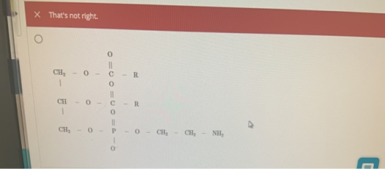 х Thats not right CH, 0 11 С 0 O - R 1 CH 0 R 1 0 11 CH, 0 - P - CH, CH, NH O a