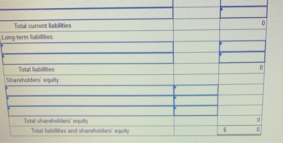 0 Total current liabilities Long-term liabilities: 0 Total liabilities Shareholders equity 0 Total shareholders equity Tota