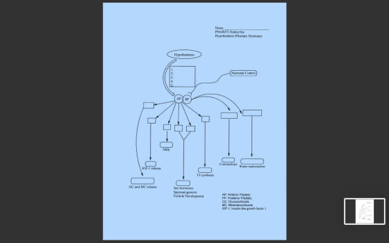 Name PHAR473 Endocrine Hypothalamic-pituitary Hormones Hypothalamus Neuronal Control Water reabsorption GC and MC release Sex