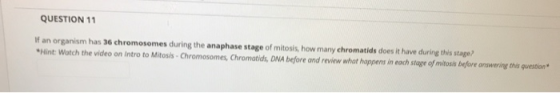 QUESTION 11 If an organism has 36 chromosomes during the anaphase stage of mitosis, how many chromatids does it have during t