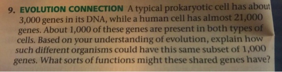 9. EVOLUTION CONNECTION A typical prokaryotic cell has about 3,000 genes in its DNA, while a human cell has almost 21,000 genes. About 1,000 of these genes are present in both types of cells. Based on your understanding of evolution, explain how such different organisms could have this same subset of 1,000 genes. What sorts of functions might these shared genes have?