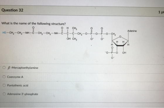 Question 32 1 pt What is the name of the following structure? 0 Adenine HS-? -Nh-C-C-C-CH2-0-P-0-P-O-CH2 o- ?-?-? ?? ß.Mercaptoethylamine O Coenzyme A ? Pantothenic acid O Adenosine 3-phosphate