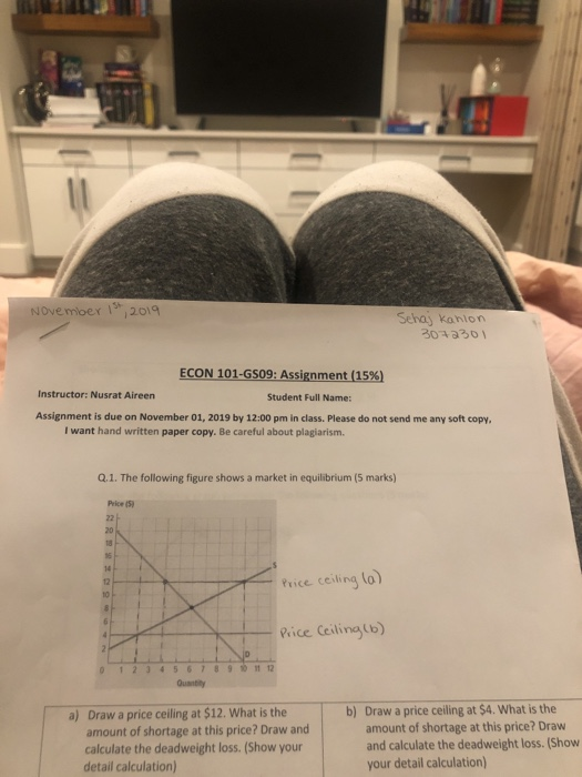 November 1st, 2019 Sehaj kahlon 3043301 ECON 101-GS09: Assignment (15%) Instructor: Nusrat Aireen Student Full Name: Assignme