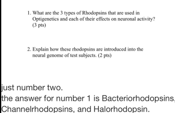 1. What are the 3 types of Rhodopsins that are used in Optigenetics and each of their effects on neuronal activity? (3 pts) 2