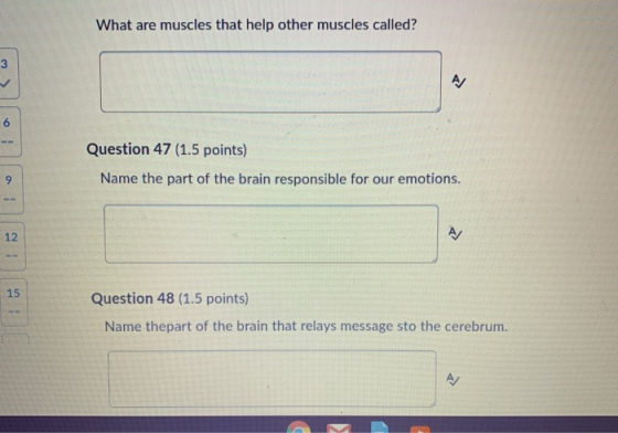 What are muscles that help other muscles called? w Question 47 (1.5 points) Name the part of the brain responsible for our em
