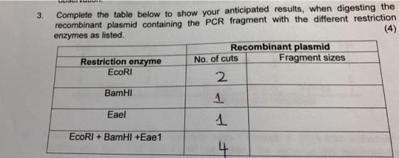 UuOU Wuuur 3. Complete the table below to show your anticipated results, when digesting the recombinant plasmid containing th
