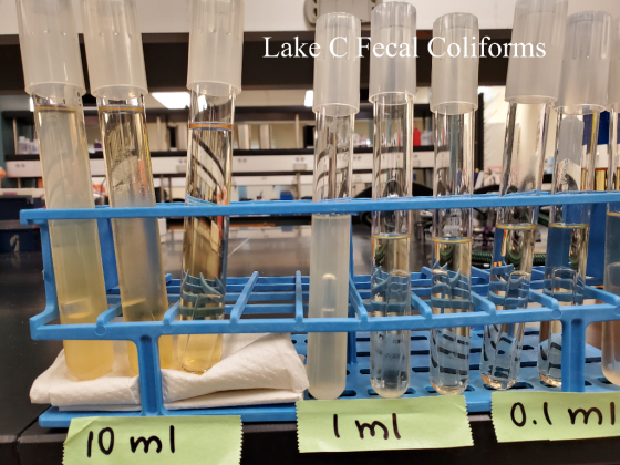 Lake C. Fecal Coliforms LIDL 10ml 0.1 mi Iml