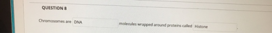 QUESTIONS Chromosomes are DNA molecules wrapped around proteins called Histone