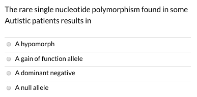 The rare single nucleotide polymorphism found in some Autistic patients results in A hypomorph A gain of function allele A do