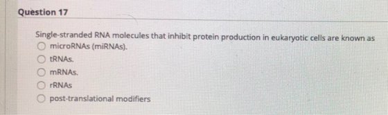Question 17 Single-stranded RNA molecules that inhibit protein production in eukaryotic cells are known as O microRNAs (miRNA