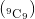 ({_{}^{9}\textrm{C}_9})