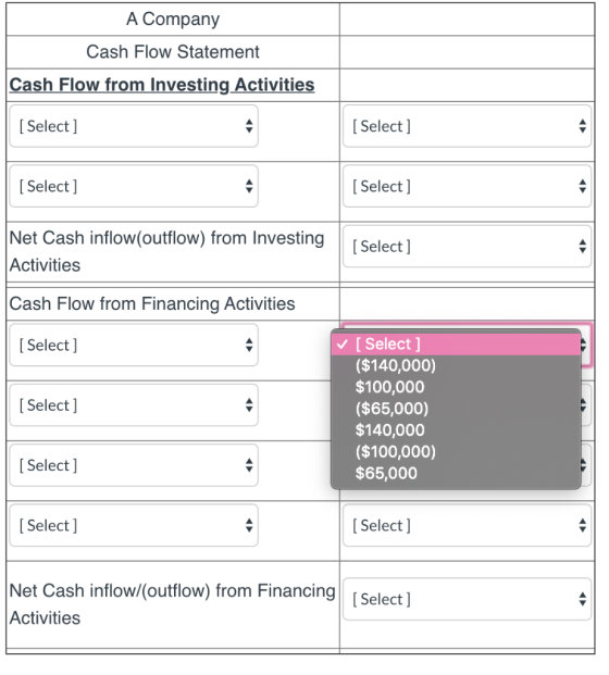 A Company Cash Flow Statement Cash Flow from Investing Activities [ Select] [ Select] [ Select] [ Select] Net Cash inflow(out
