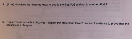 4. (1 pts) How does the ribosome know to bind to the first AUG and not to another AUG? 5. (1 pts) The ribosome is a ribozyme