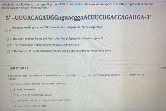 Which of the following is true regarding the mRNA strand indicated below where upper case letters represent exons and lower c