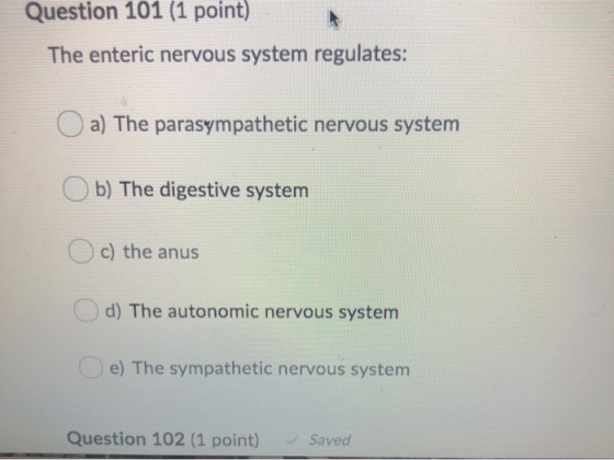 Question 101 (1 point) The enteric nervous system regulates: a) The parasympathetic nervous system Ob) The digestive system c