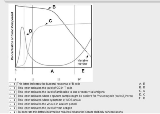 B 0 D Concentration of Blood Component Variable number E A IV This letter indicates the humoral response of B cells | This le
