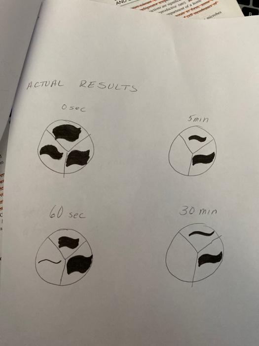 ANU frem productive rate). partment of a hom * et membranes of microbes ACTUAL RESULTS osec 5min 60 sec 30min