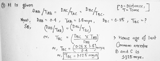 3) It is Te Time given PD = Distance, DABITAB = DAC TAC DBC/ Tor Now , DAB = 0.4 , TAB = 18mya, DBC = 0.25, TBG = ? So, PAB/T