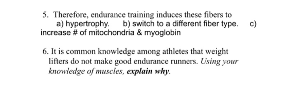 5. Therefore, endurance training induces these fibers to a) hypertrophy. b) switch to a different fiber type. increase # of m