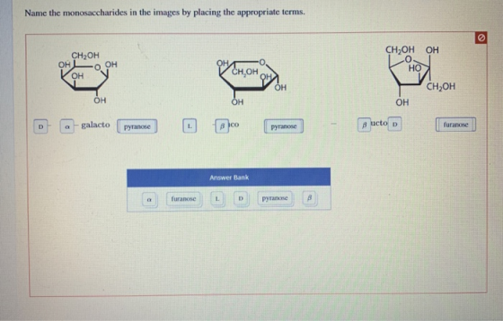 Name the monosaccharides in the images by placing the appropriate terms. HOH -0 CH OH OH VOH Сн,он он HO CH2OH OH ОН OH O- @-