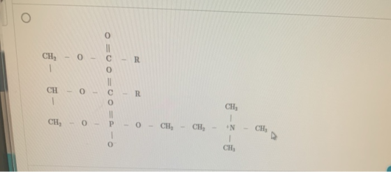 CH-0 - C - R 1 CH - 0 O=0O=0O=A-O R 1 CH, d - 0 - HD 0 - CH CH, N CH, - CH,