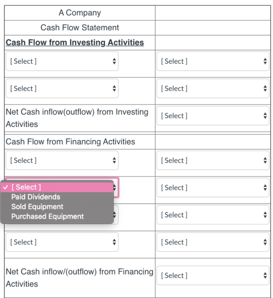A Company Cash Flow Statement Cash Flow from Investing Activities Select] [Select] [ Select] [ Select] Net Cash inflow(outflo