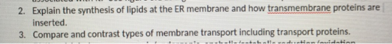 2. Explain the synthesis of lipids at the ER membrane and how transmembrane proteins are inserted. 3. Compare and contrast ty