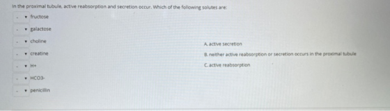 In the proximal tubule, active reabsorption and secretion occur. Which of the following solutes are fructose galactose cholin