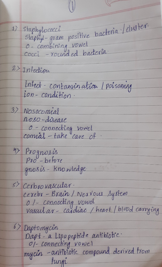 17 Staphylococci cluster Staphyl- gram positive bacteria o- combining vowel cocci - Younded bacteria Infection infect - conta