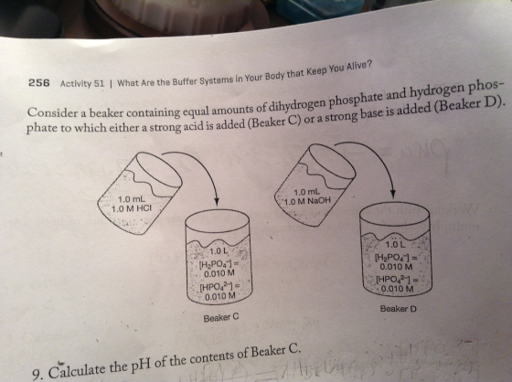 256 Activity 51 l What Are Buffer systems in Your Body that Keep You Alive phos Consider a beaker the dilhydrogen phosphate and hydrogen containing equal amounts of strong base is added phate to which either a strong acid i added 1.0 mL 1.0 mL 1.0 M NaOH 1.0 M HCI 1.0 L 1.0 L [H2PO4 LH2PO41 0.010 M 0.010 M UHPO42 0.010 M 0.010 M Beaker D Beaker C 9. Calculate the pH of the contents of Beaker C