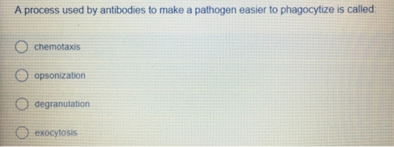 A process used by antibodies to make a pathogen easier to phagocytize is called: chemotaxis O opsonization degranulation exocytosis