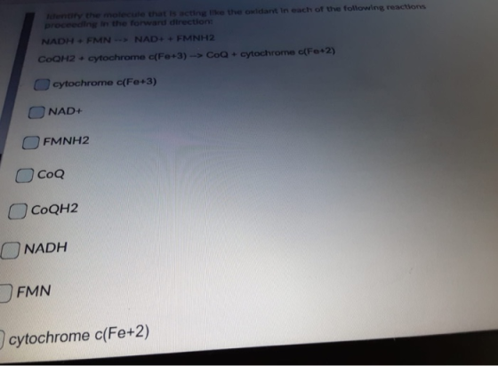 themeleve that leting e the ondant in each of the following reactions proceeding in the forward direction NADH-FMN NAD+ FMNH2