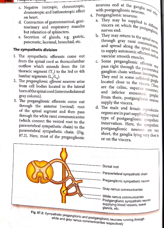 ITILIPILJULJIVIU9) the ganglia and rela e supplied to differem ich the postganglionic spinal nerves communicantes the spinal