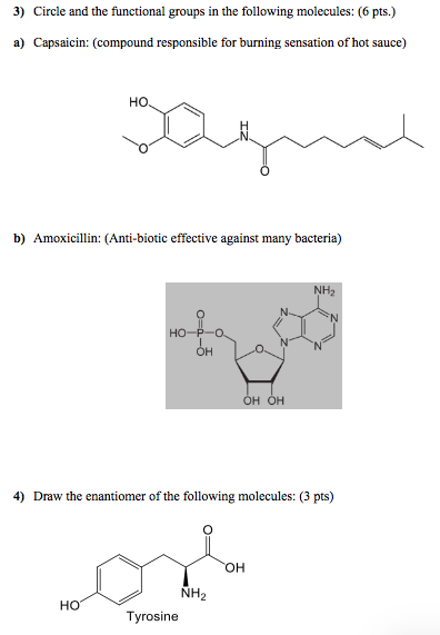 3) Circle and the functional groups in the following molecules: (6 pts.) a) Capsaicin: (compound responsible for burning sens