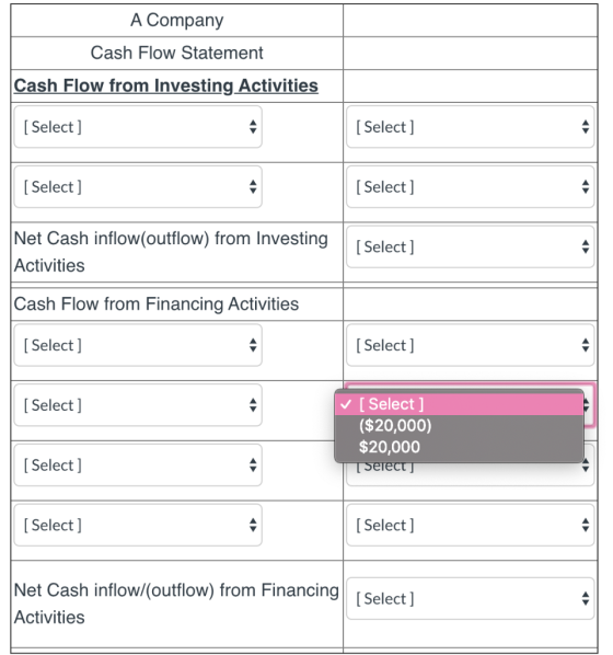 A Company Cash Flow Statement Cash Flow from Investing Activities [ Select] [ Select] [Select] [ Select] |Net Cash inflow(out