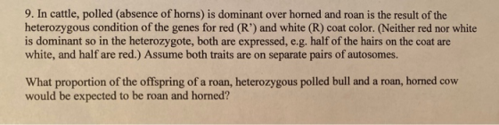 9. In cattle, polled (absence of horns) is dominant over horned and roan is the result of the heterozygous condition of the g