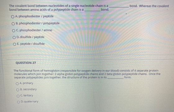 The covalent bond between nucleotides of a single nucleotide chain is a bond between amino acids of a polypeptide chain is a