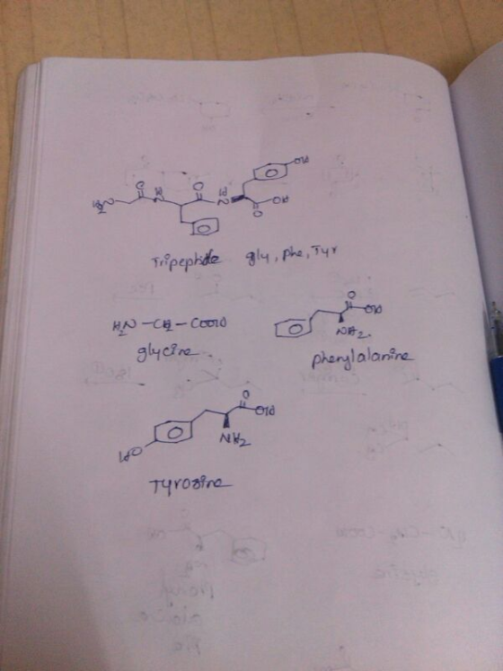 le pephde 9yc? pharylalanine