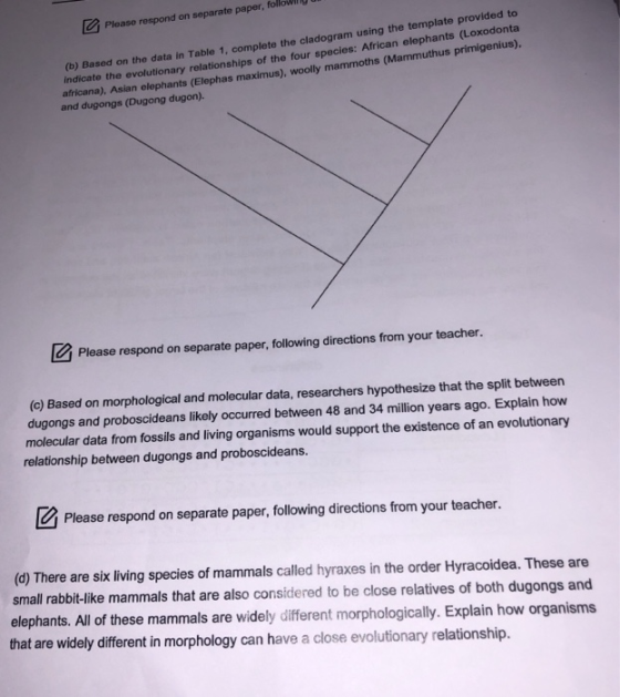 Please respond on separate paper, followili un (b) Based on the data in Table 1, complete the cladogram using the template pr