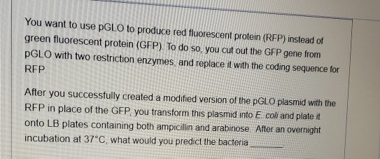 You want to use PGLO to produce red fluorescent protein (RFP) instead of green fluorescent protein (GFP). To do so you cut ou