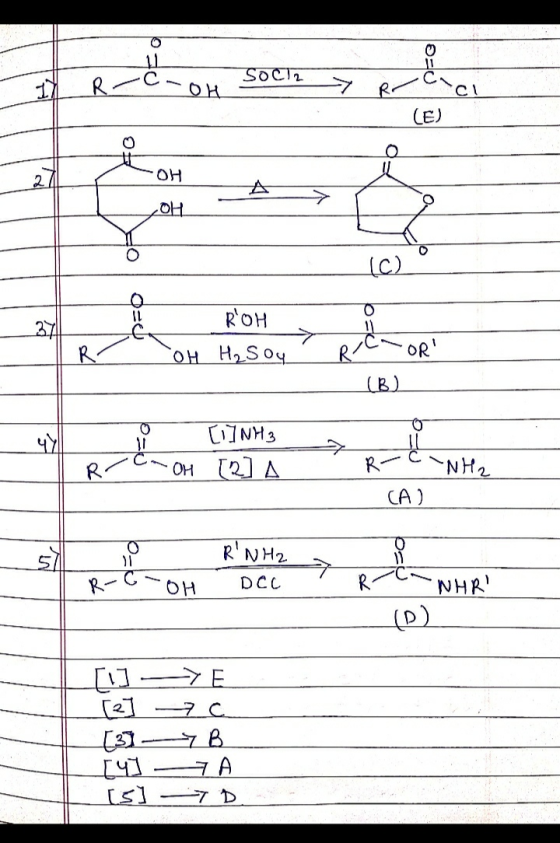 B=0 Socl2 OH LE) 0 -OH OH (C) O=0 O 27 ROH OH H₂SO4 R OR (B) 471 []NH3 -OH [2] A > R -NH2 CA) 0 1 RNH2 8 OH DCC WHRI [1]